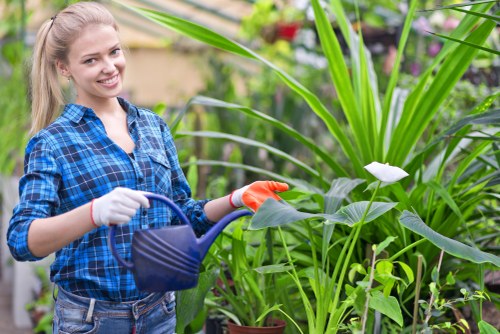 Tree removal service in Crook Log for a safe residential property