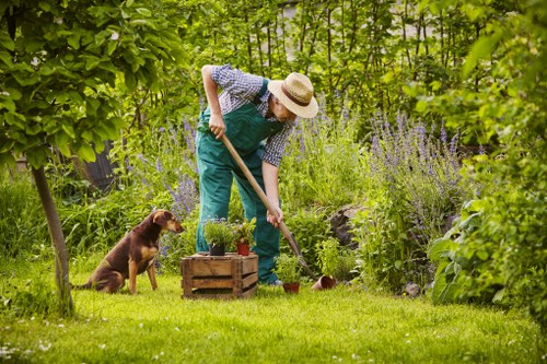 Professional decking services in Crook Log creating a stylish garden deck