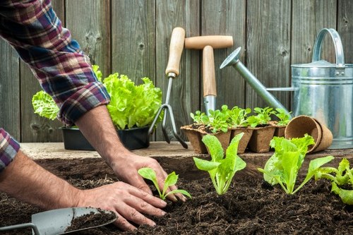 Analytics cookies tracking site performance for Gardeners Crook Log