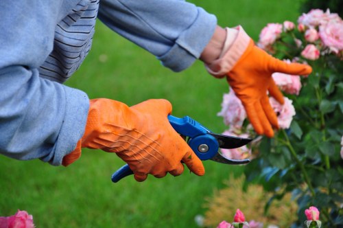 Careful hedge cutting in Crook Log to shape an overgrown garden hedge