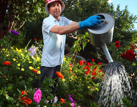 Garden maintenance in Crook Log with tidy lawn and hedges