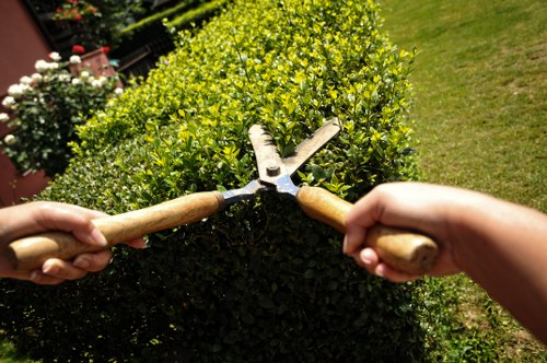 Annual review of modern slavery controls for Gardeners Crook Log