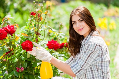 Keyboard navigable local gardening website layout