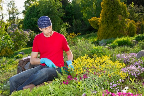 Soft landscaping with trees, shrubs, and lawn in Crook Log