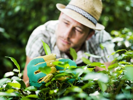 Secure payment setup for Gardeners Crook Log customers