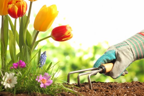 Professional gardeners in Crook Log maintaining healthy outdoor spaces