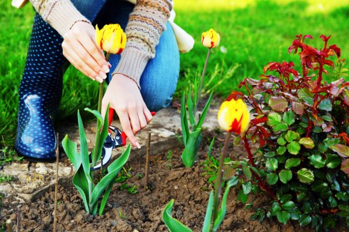 Professional garden waste removal and tidy outdoor space in Crook Log