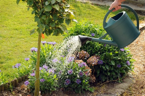 Professional hedge trimming and pruning in Crook Log gardens