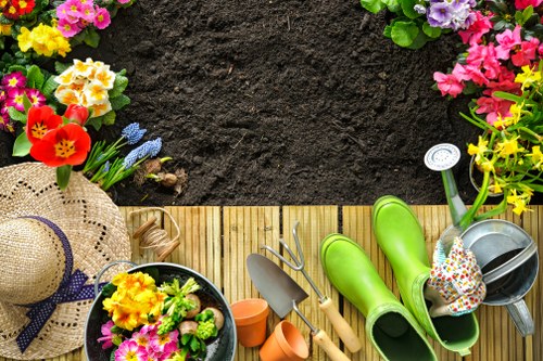 Overseeding and repairing patchy lawn areas in Crook Log