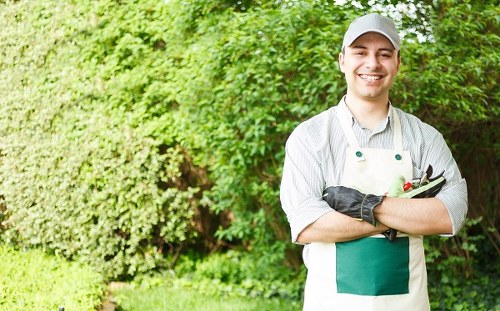 Professional Crook Log garden care for overgrown areas and clearance work