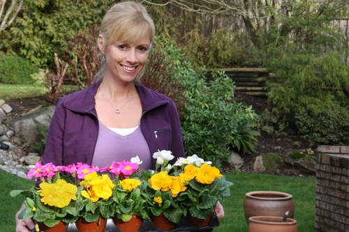 Reviewing details in a gardener complaint procedure
