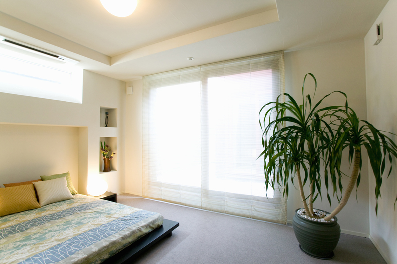 hedge trimming hedge pruning