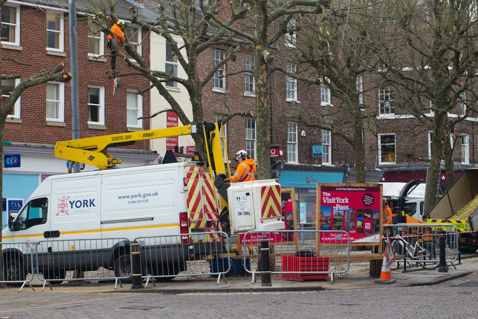 A street scene near Crook Town Hall during daytime shows workers from Gardeners Crook Log engaged in tree maintenance and landscaping work. A worker in an orange high-visibility jacket and helmet is o