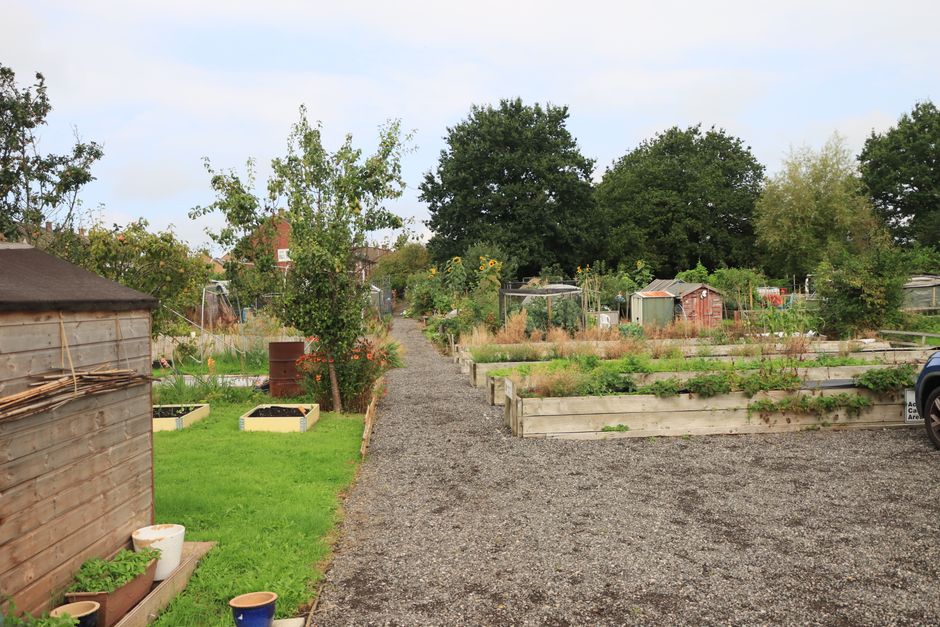 A garden scene featuring a gravel pathway running through a community garden at Crook Community Centre, with neatly maintained raised beds containing various plants and vegetables on either side. On t